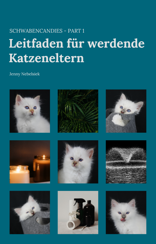 E-Book: Leitfaden für werdende Katzeneltern